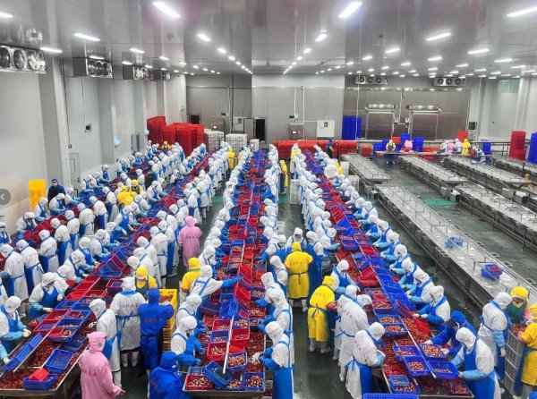 抢占“鲜”机启新程 潜江市龙虾企业全速备战产销黄金期