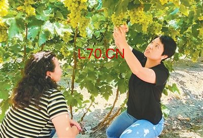 元股证券