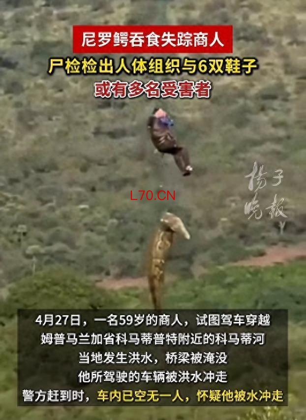 商人疑被鳄鱼吞食 解剖发现内有6双鞋