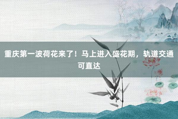 重庆第一波荷花来了！马上进入盛花期，轨道交通可直达