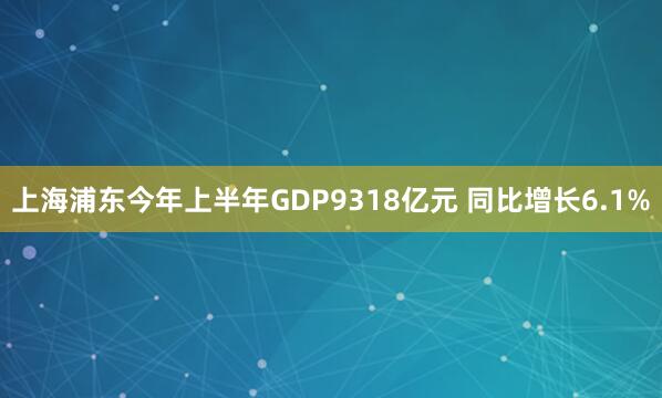 上海浦东今年上半年GDP9318亿元 同比增长6.1%