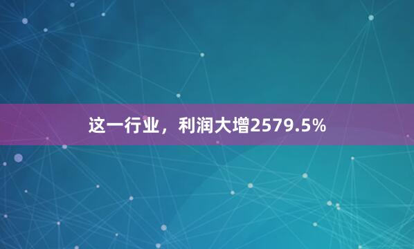 这一行业，利润大增2579.5%