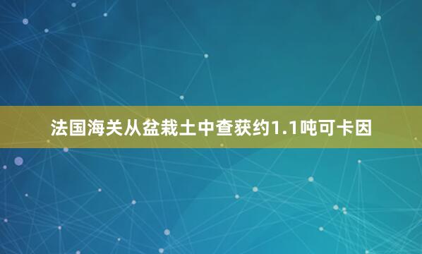 法国海关从盆栽土中查获约1.1吨可卡因