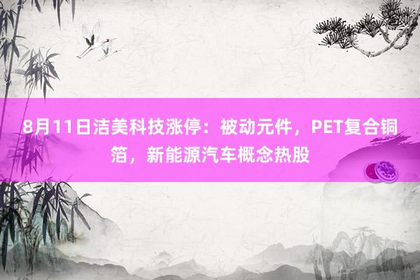 8月11日洁美科技涨停：被动元件，PET复合铜箔，新能源汽车概念热股