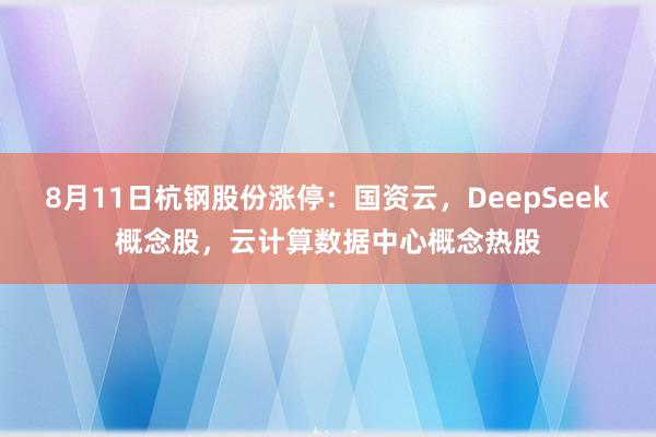 8月11日杭钢股份涨停：国资云，DeepSeek概念股，云计算数据中心概念热股