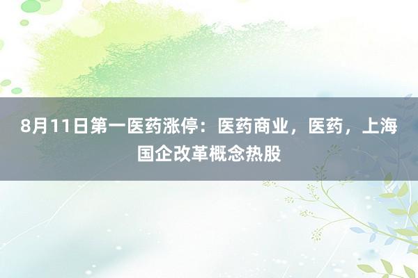 8月11日第一医药涨停：医药商业，医药，上海国企改革概念热股