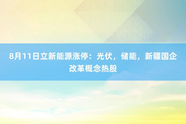 8月11日立新能源涨停：光伏，储能，新疆国企改革概念热股