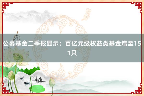 公募基金二季报显示：百亿元级权益类基金增至151只