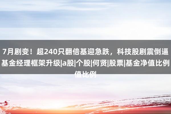 7月剧变！超240只翻倍基迎急跌，科技股剧震倒逼基金经理框架升级|a股|个股|何贤|股票|基金净值比例