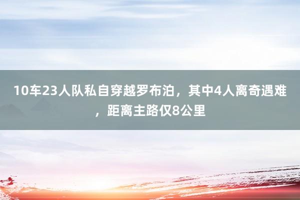 10车23人队私自穿越罗布泊，其中4人离奇遇难，距离主路仅8公里