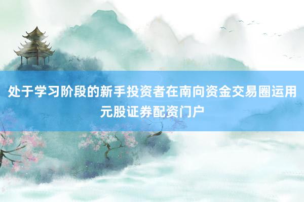处于学习阶段的新手投资者在南向资金交易圈运用元股证券配资门户