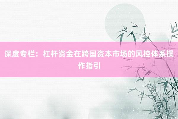 深度专栏：杠杆资金在跨国资本市场的风控体系操作指引