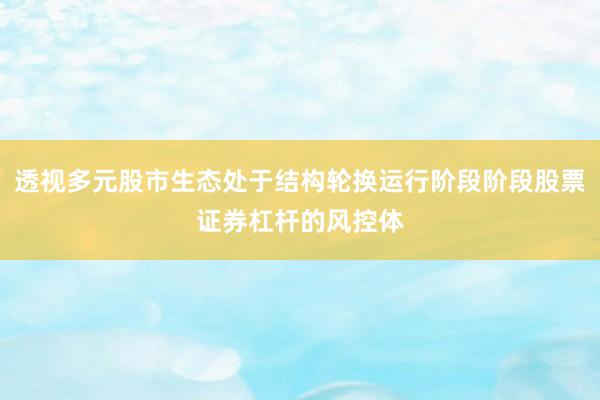 透视多元股市生态处于结构轮换运行阶段阶段股票证券杠杆的风控体