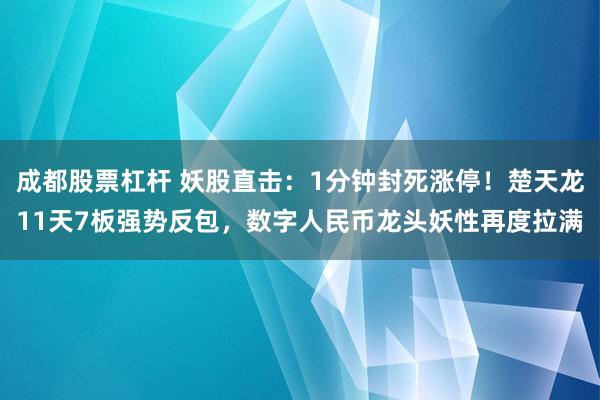 成都股票杠杆 妖股直击：1分钟封死涨停！楚天龙11天7板强势反包，数字人民币龙头妖性再度拉满