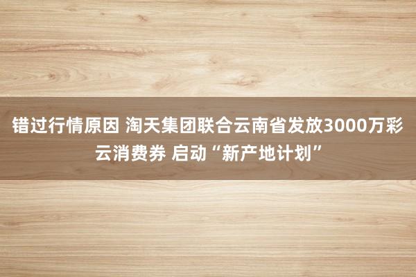 错过行情原因 淘天集团联合云南省发放3000万彩云消费券 启动“新产地计划”