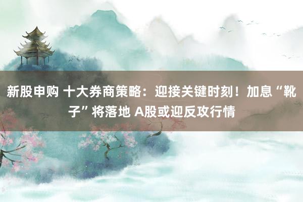 新股申购 十大券商策略：迎接关键时刻！加息“靴子”将落地 A股或迎反攻行情