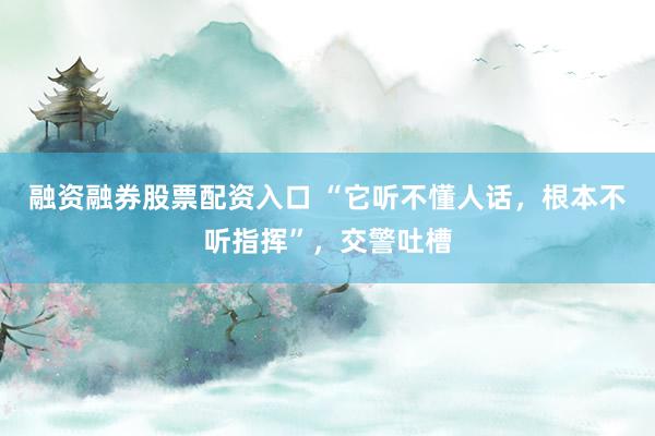 融资融券股票配资入口 “它听不懂人话,根本不听指挥”,交警吐槽