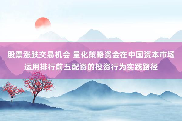 股票涨跌交易机会 量化策略资金在中国资本市场运用排行前五配资的投资行为实践路径