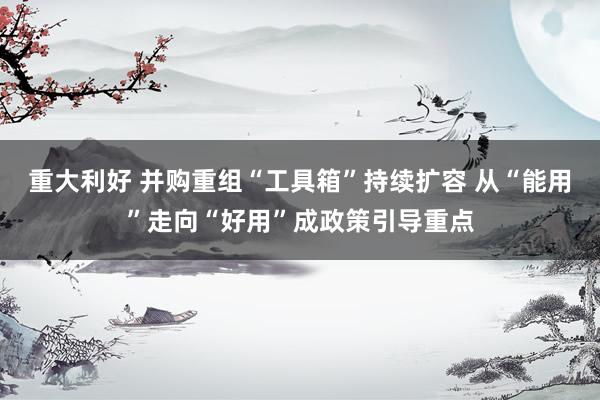 重大利好 并购重组“工具箱”持续扩容 从“能用”走向“好用”成政策引导重点