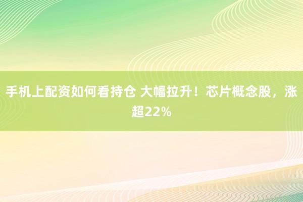 手机上配资如何看持仓 大幅拉升！芯片概念股，涨超22%