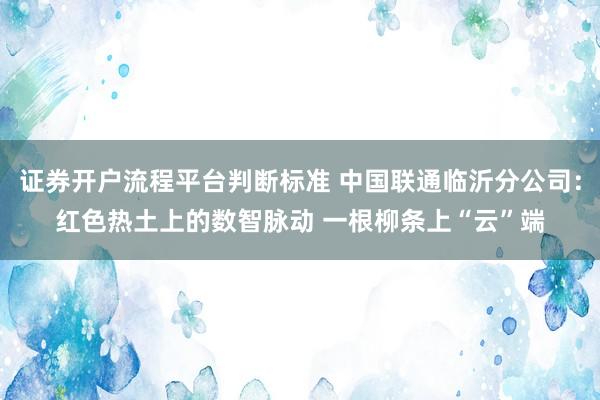 证券开户流程平台判断标准 中国联通临沂分公司：红色热土上的数智脉动 一根柳条上“云”端