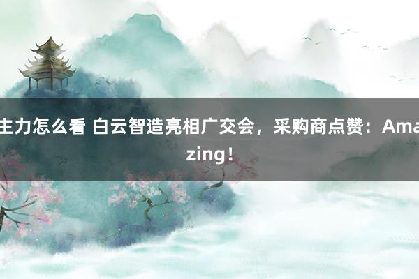 主力怎么看 白云智造亮相广交会，采购商点赞：Amazing！